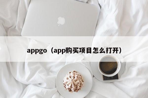 appgo（app购买项目怎么打开）