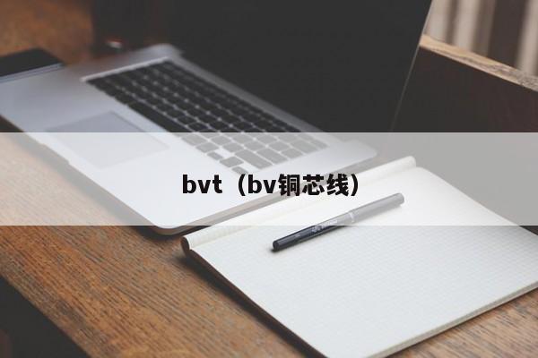bvt（bv铜芯线）