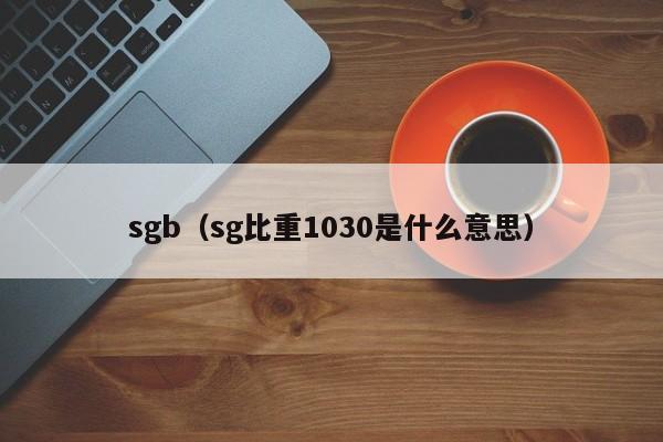 sgb（sg比重1030是什么意思）