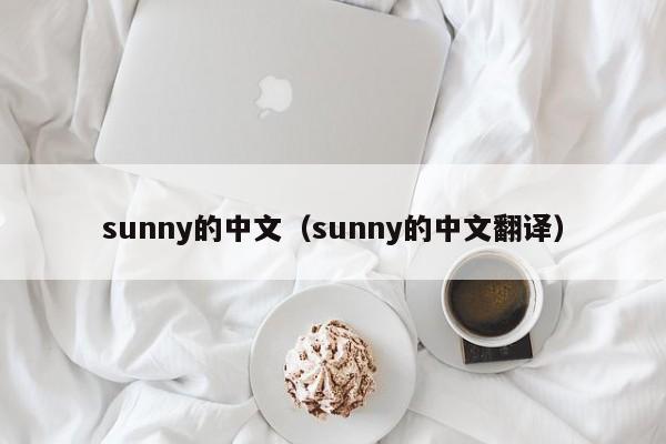 sunny的中文（sunny的中文翻译）