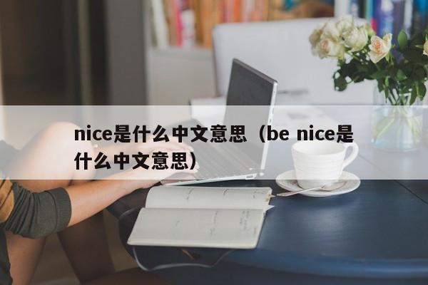 nice是什么中文意思（be nice是什么中文意思）