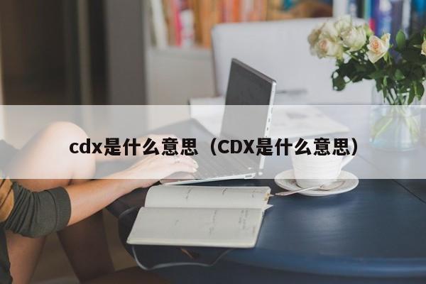 cdx是什么意思（CDX是什么意思）