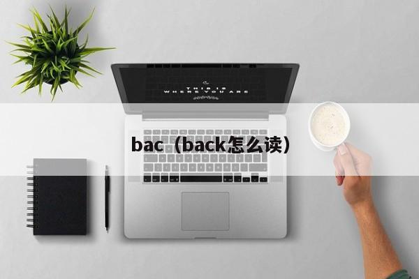 bac（back怎么读）