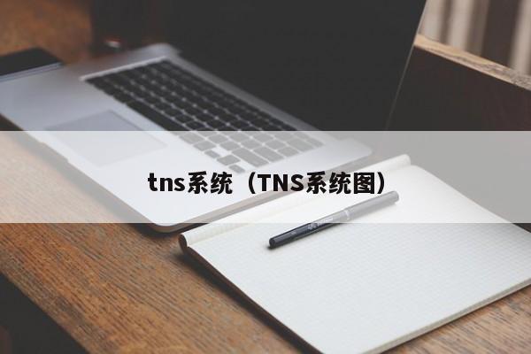 tns系统（TNS系统图）