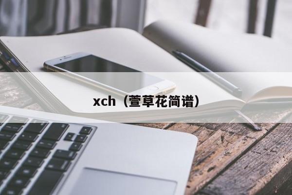 xch（萱草花简谱）