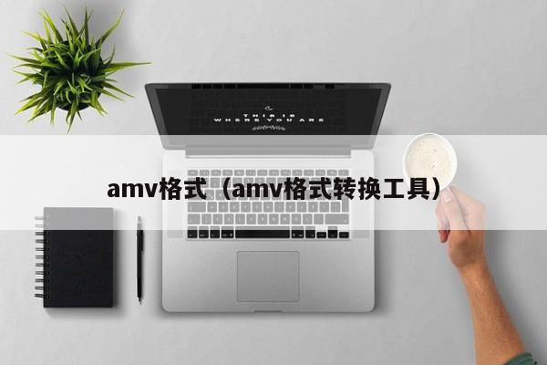 amv格式（amv格式转换工具）