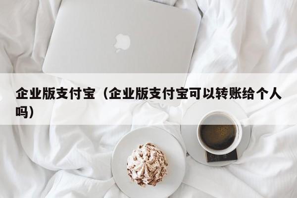 企业版支付宝（企业版支付宝可以转账给个人吗）