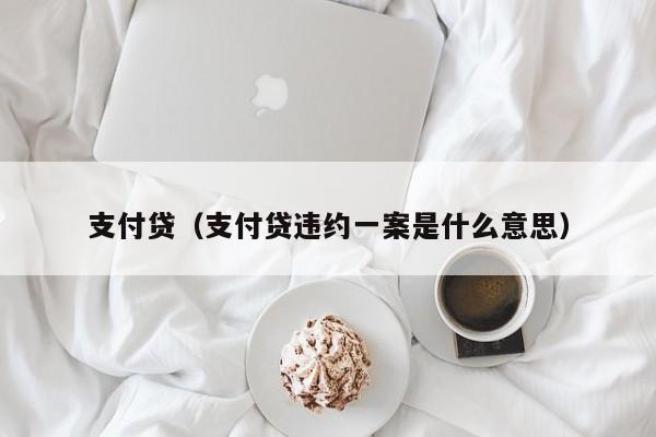 支付贷（支付贷违约一案是什么意思）