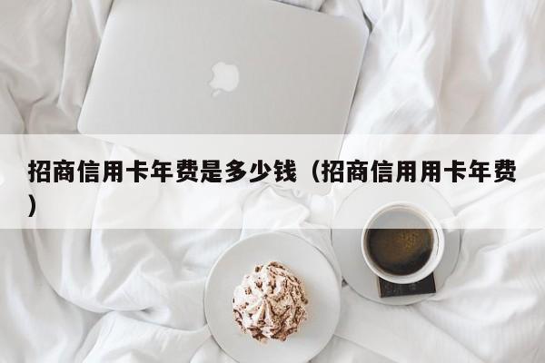 招商信用卡年费是多少钱（招商信用用卡年费）