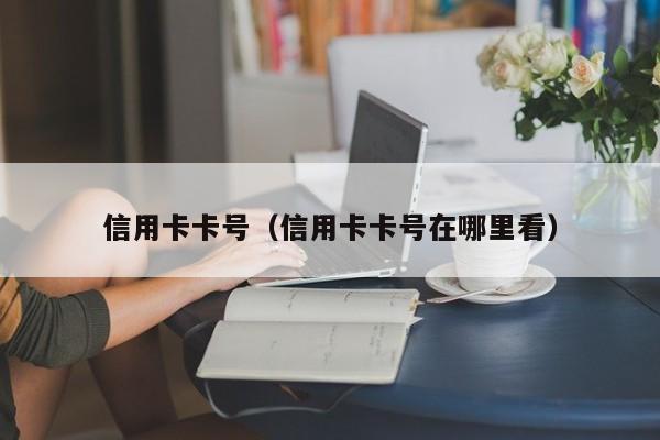 信用卡卡号（信用卡卡号在哪里看）
