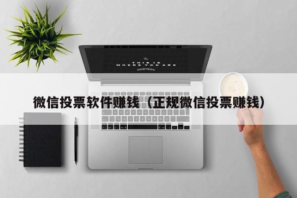 微信投票软件赚钱（正规微信投票赚钱）