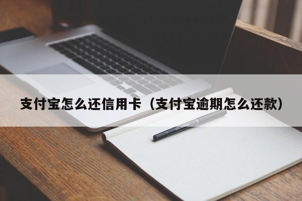 支付宝怎么还信用卡（支付宝逾期怎么还款）