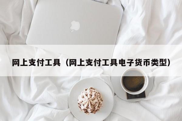 网上支付工具（网上支付工具电子货币类型）