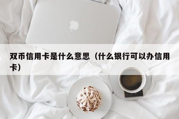 双币信用卡是什么意思（什么银行可以办信用卡）