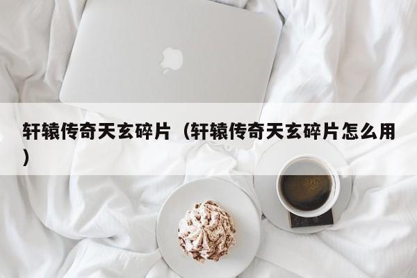 轩辕传奇天玄碎片（轩辕传奇天玄碎片怎么用）