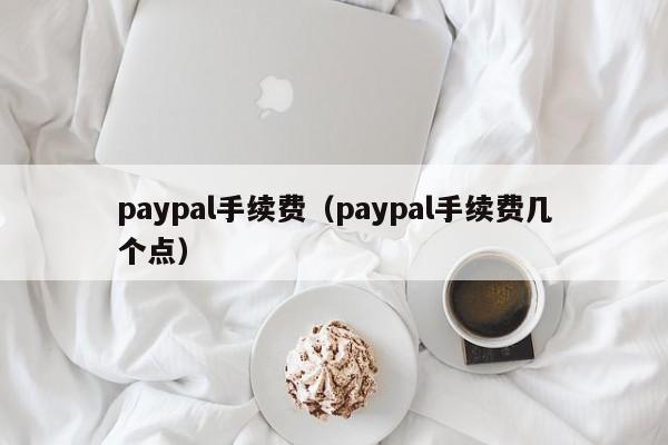 paypal手续费（paypal手续费几个点）