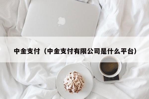 中金支付（中金支付有限公司是什么平台）