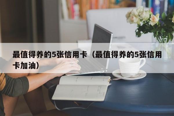 最值得养的5张信用卡（最值得养的5张信用卡加油）