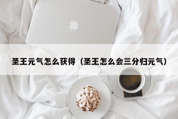 圣王元气怎么获得（圣王怎么会三分归元气）
