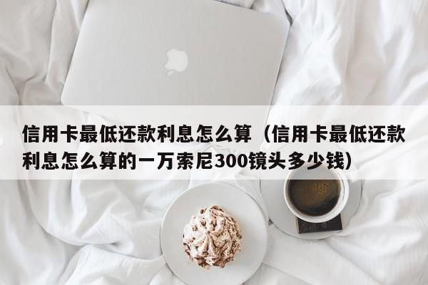 信用卡最低还款利息怎么算（信用卡最低还款利息怎么算的一万索尼300镜头多少钱）