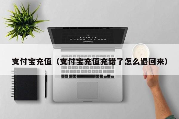 支付宝充值（支付宝充值充错了怎么退回来）