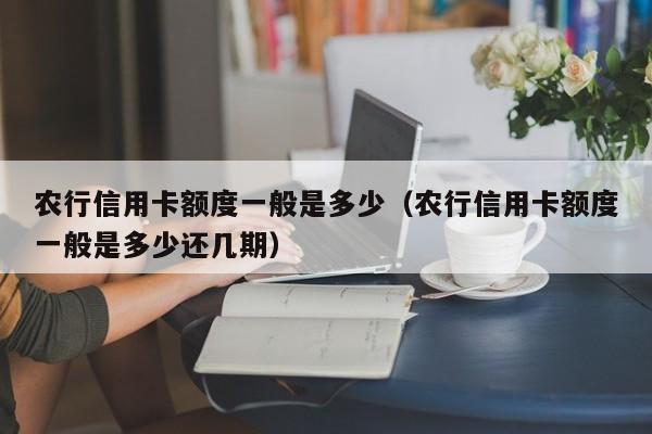 农行信用卡额度一般是多少（农行信用卡额度一般是多少还几期）