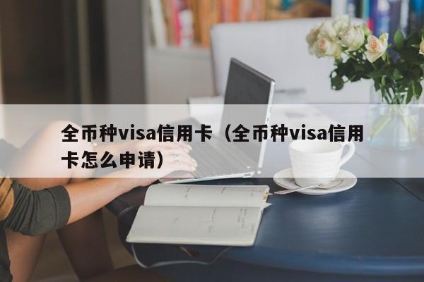 全币种visa信用卡（全币种visa信用卡怎么申请）