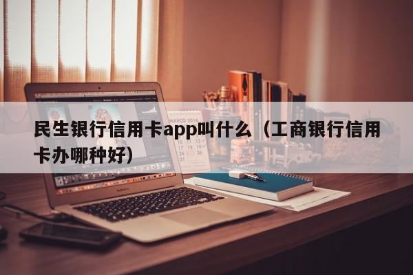 民生银行信用卡app叫什么（工商银行信用卡办哪种好）