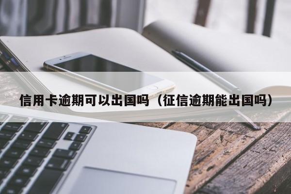 信用卡逾期可以出国吗（征信逾期能出国吗）