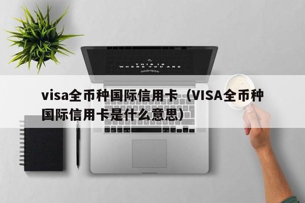 visa全币种国际信用卡（VISA全币种国际信用卡是什么意思）