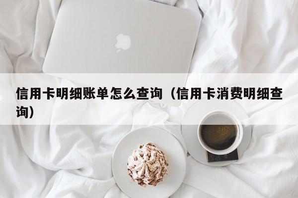 信用卡明细账单怎么查询（信用卡消费明细查询）