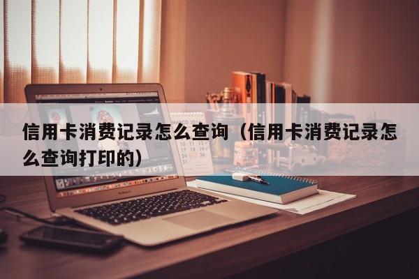 信用卡消费记录怎么查询（信用卡消费记录怎么查询打印的）