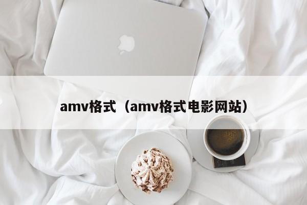 amv格式（amv格式电影网站）
