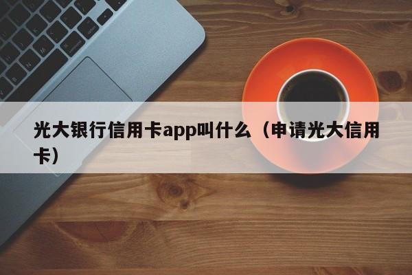 光大银行信用卡app叫什么（申请光大信用卡）