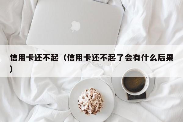 信用卡还不起（信用卡还不起了会有什么后果）