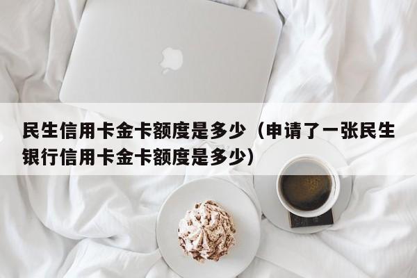 民生信用卡金卡额度是多少（申请了一张民生银行信用卡金卡额度是多少）