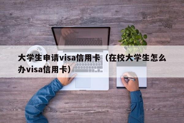 大学生申请visa信用卡（在校大学生怎么办visa信用卡）