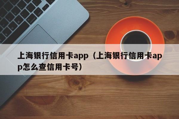上海银行信用卡app（上海银行信用卡app怎么查信用**）