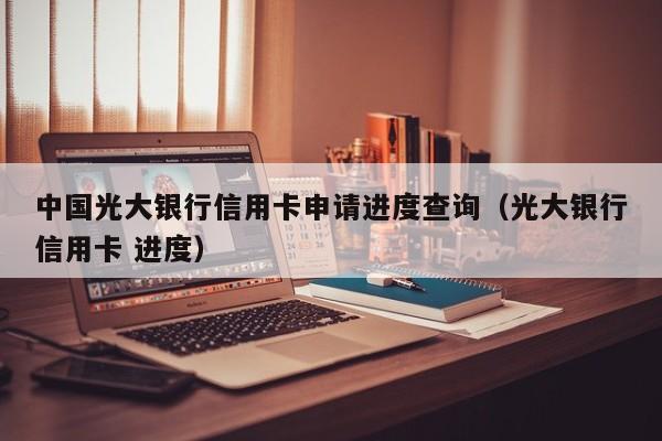 中国光大银行信用卡申请进度查询（光大银行信用卡 进度）
