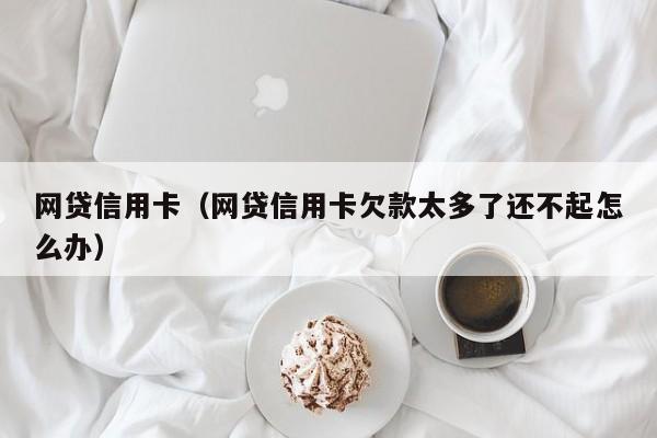 网贷信用卡（网贷信用卡欠款太多了还不起怎么办）