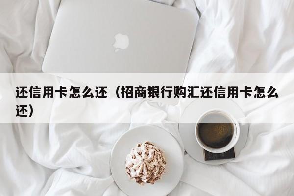 还信用卡怎么还（招商银行购汇还信用卡怎么还）