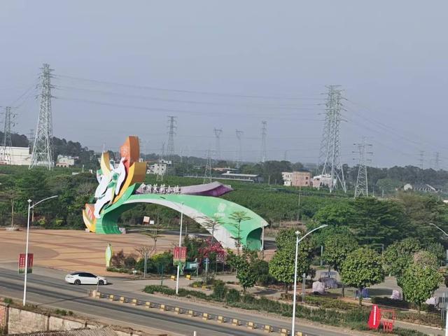 中国茉莉花之乡供不应求：新式茶饮风行，吸引更多年轻人消费