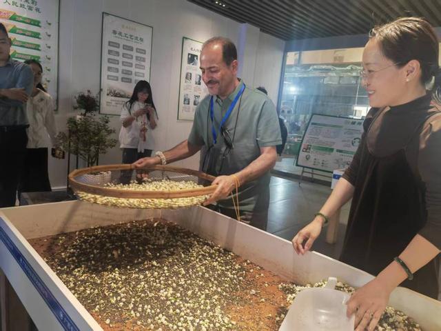 中国茉莉花之乡供不应求：新式茶饮风行，吸引更多年轻人消费