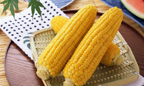 期货玉米价格较高的原因是什么?如何看待期货玉米的价格走势?